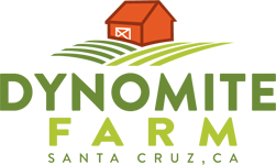 Dynomite Logo
